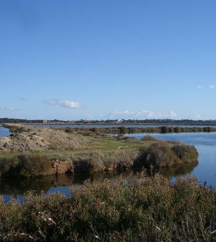 camping hyeres